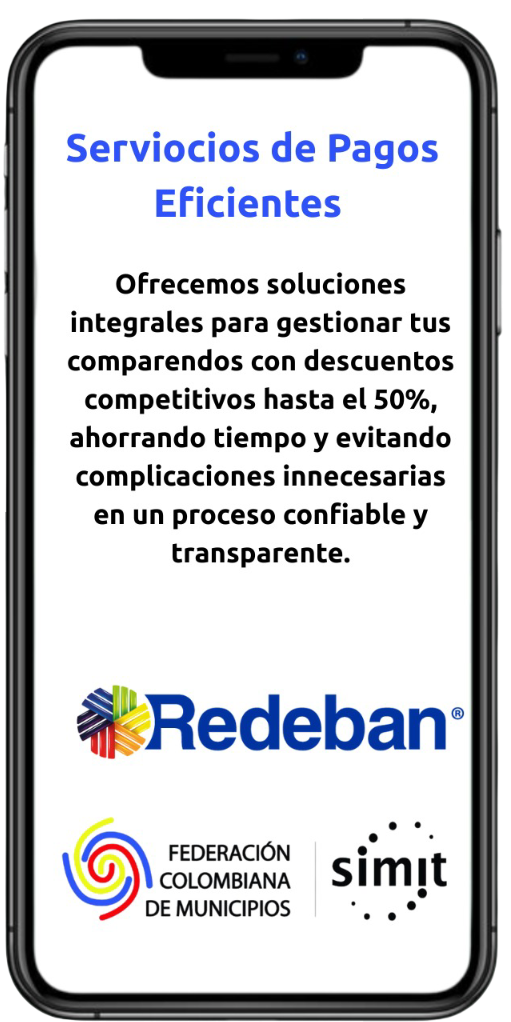 Proceso de pago en línea seguro